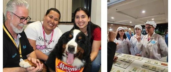 Raising disability awareness with employees in Brazil