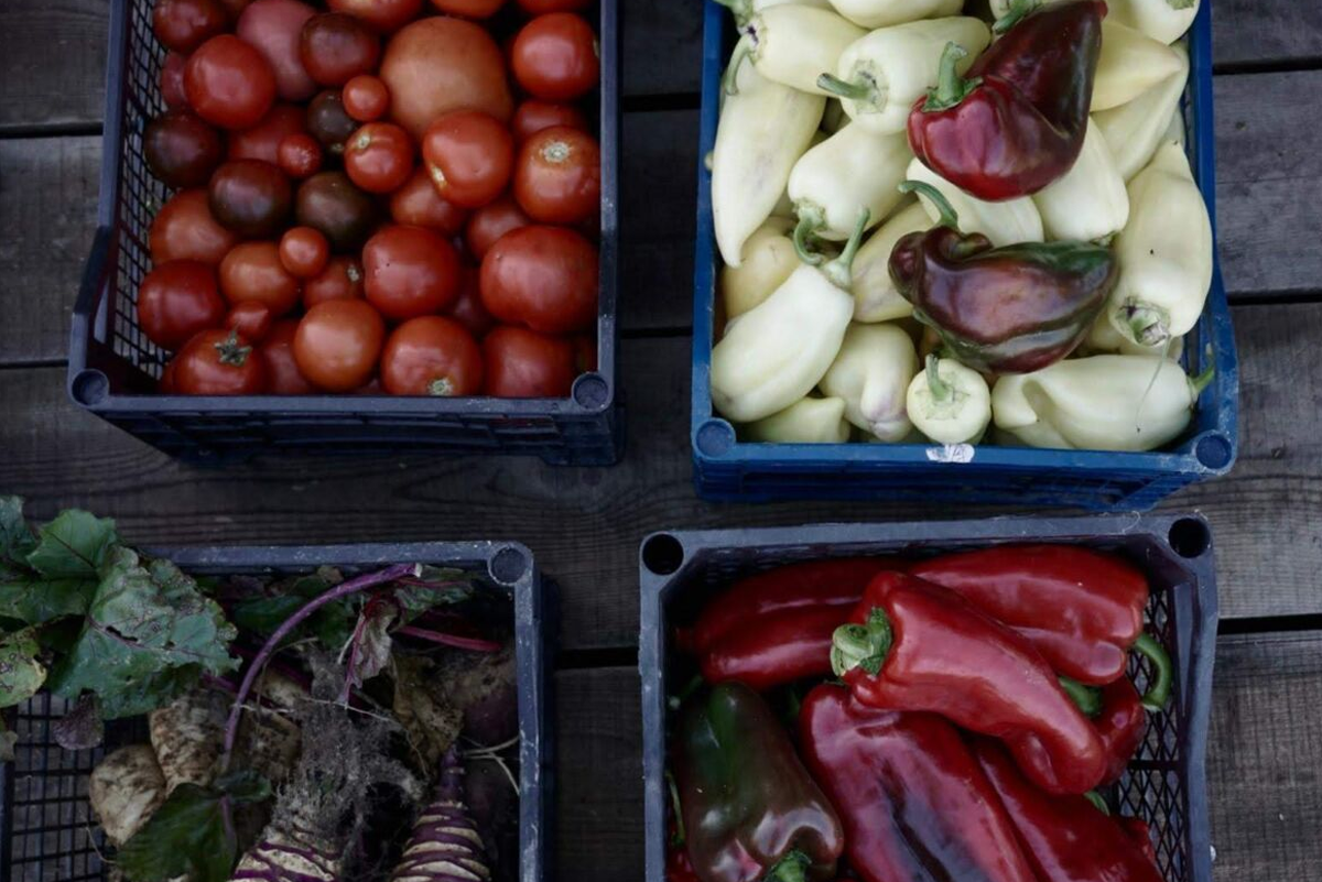 fresh produce in baskets