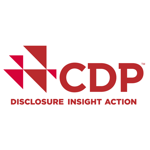 CDP-Offenlegungs-Einblicksaktion