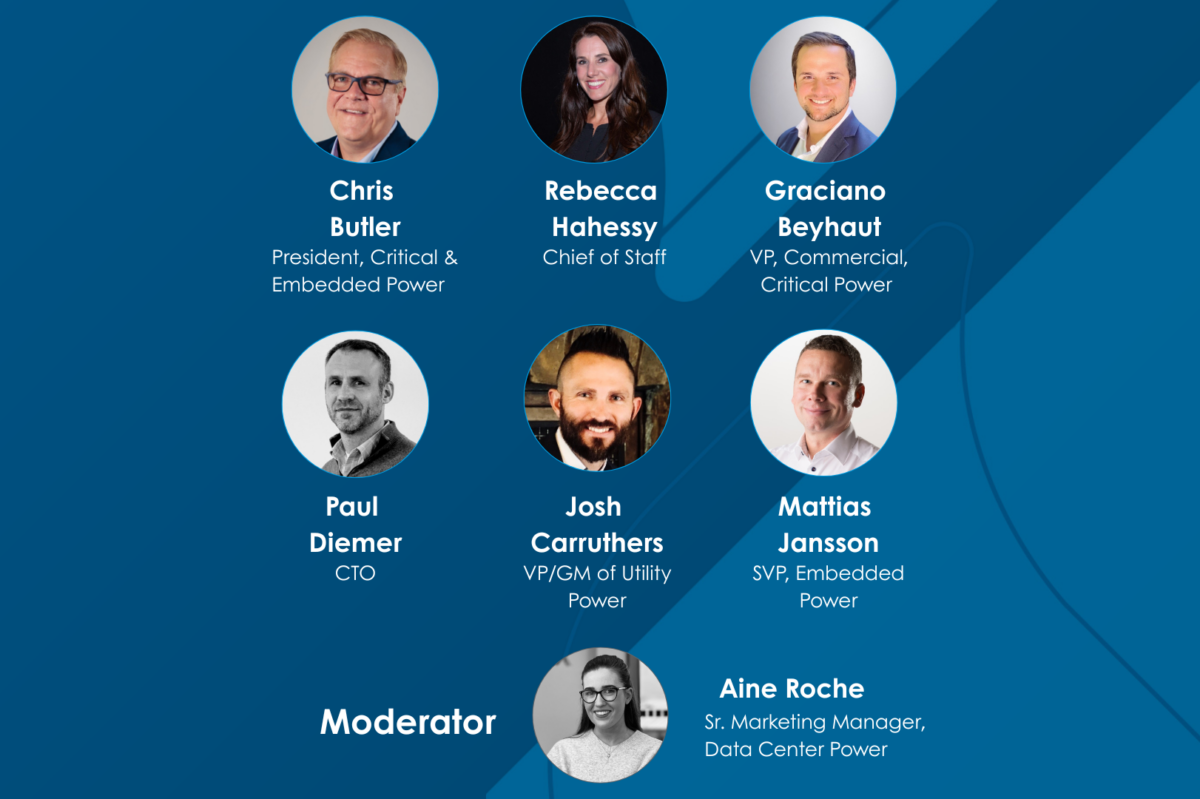 Panel members for Power Industry Insights webinar