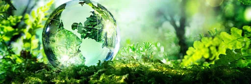 Glass globe resting on vibrant green moss and foliage in a sunlit forest, symbolizing environmental sustainability and the natural world.