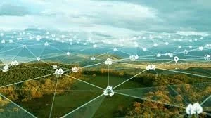 A landscape of forests and fields overlaid with a network of glowing white connected lines and cloud icons representing digital connectivity.