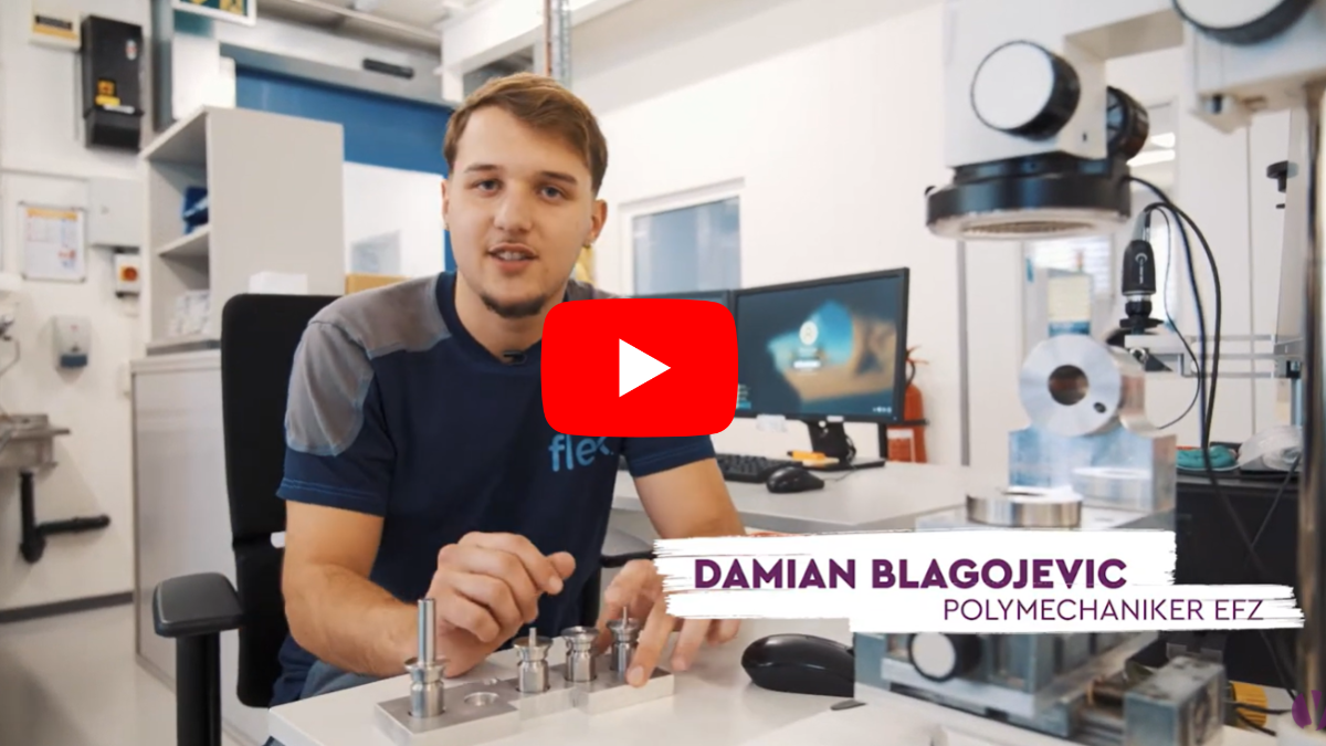 瑞士学徒达米安