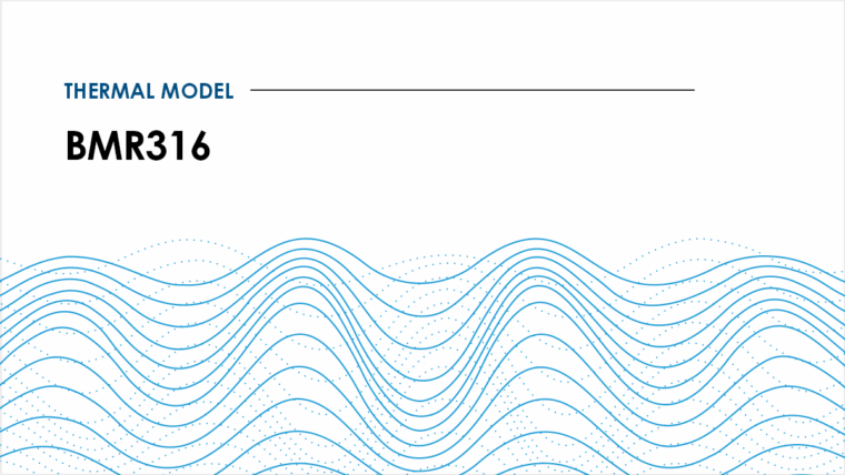 Thermal model BMR316